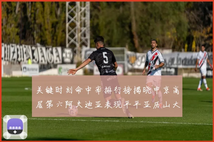 关键时刻命中率排行榜揭晓申京高居第六阿夫迪亚表现平平亚历山大与康宁汉姆紧随其后